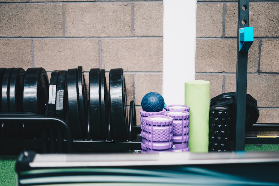 The Ultimate Guide to Choosing the Right Workout Equipment The Ultimate Guide to Choosing the Right Workout Equipment